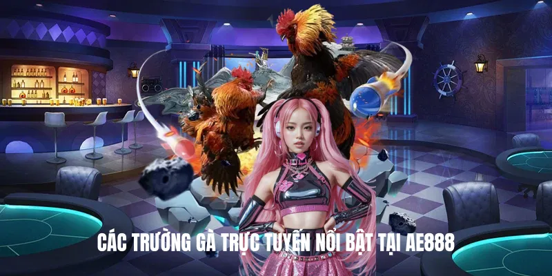 Các Trường Gà Trực Tuyến Nổi Bật Tại AE888