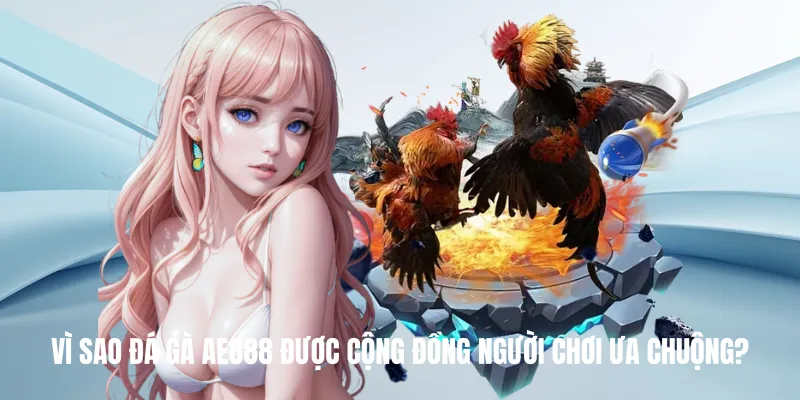 Vì Sao Đá Gà AE888 Được Cộng Đồng Người Chơi Ưa Chuộng?