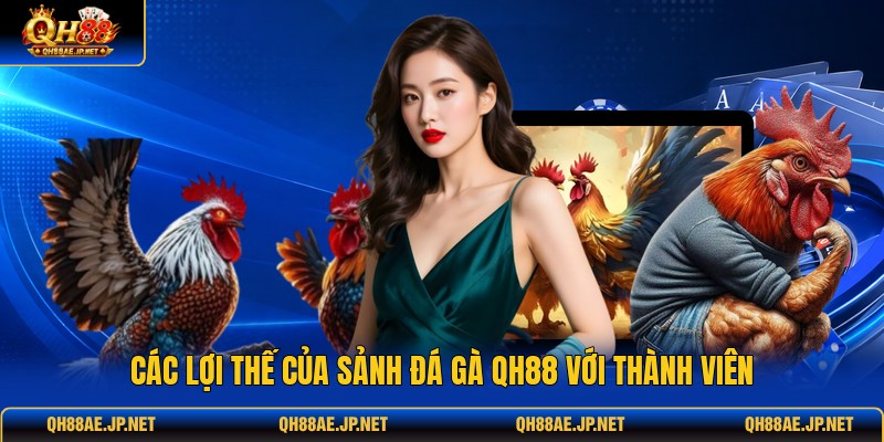 Các lợi thế của sảnh đá gà QH88 với thành viên