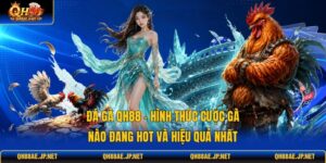 Đá Gà QH88 - Hình Thức Cược Gà Nào Đang Hot Và Hiệu Quả Nhất