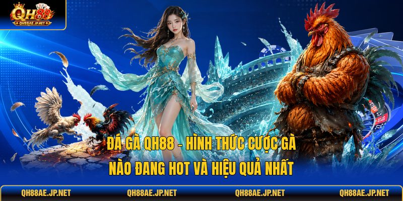 Đá Gà QH88 - Hình Thức Cược Gà Nào Đang Hot Và Hiệu Quả Nhất