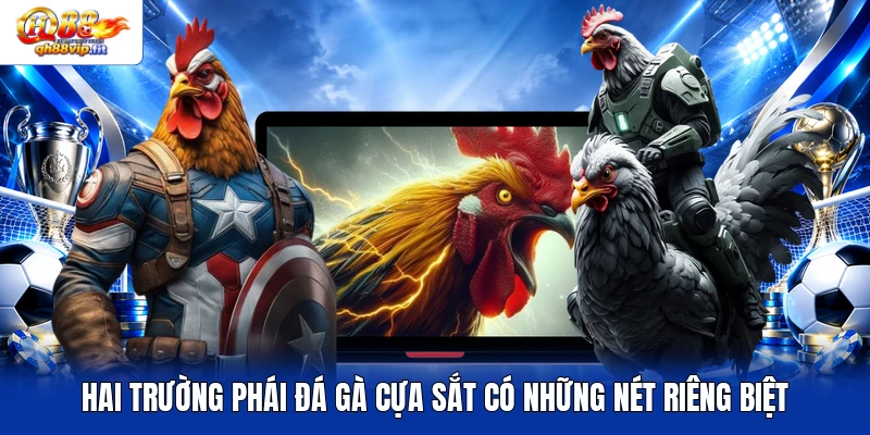 Hai trường phái đá gà cựa sắt có những nét riêng biệt